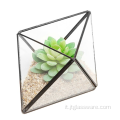 Contenitore per terrari in vetro geometrico per piante